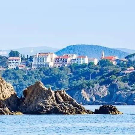 Mezzanine Piscine Presqu'ile De Giens Hyères