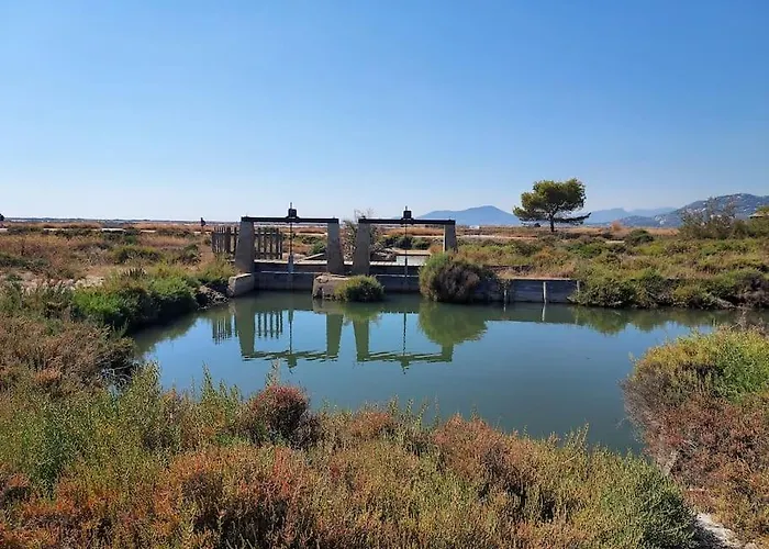 Mezzanine Piscine Presqu'ile De Giens דירה