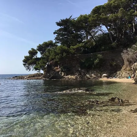 Lägenhet Mezzanine Piscine Presqu'ile De Giens