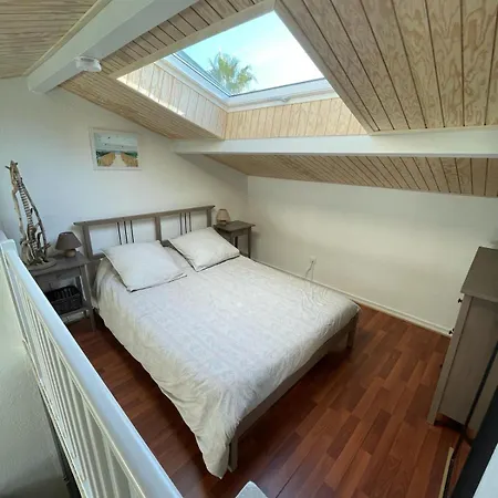 Mezzanine Piscine Presqu'ile De Giens *