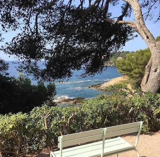 Mezzanine Piscine Presqu'ile De Giens *