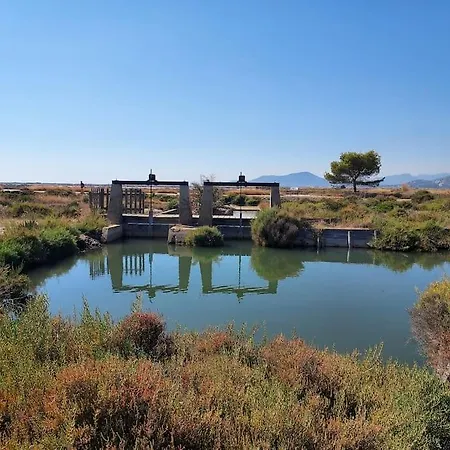 Mezzanine Piscine Presqu'ile De Giens Apartament